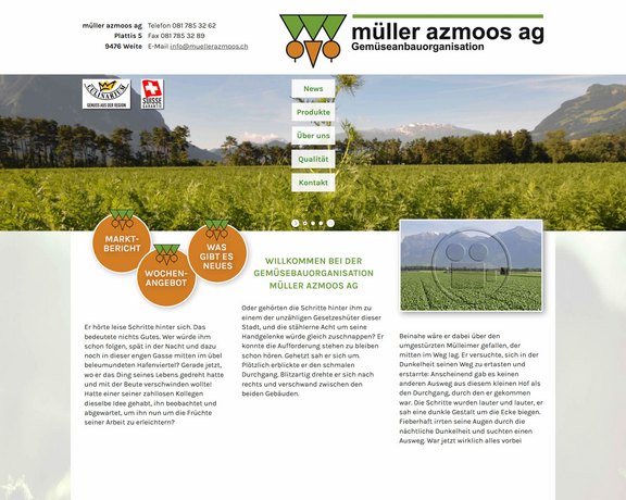Homepage mit CMS müller azmoos AG  